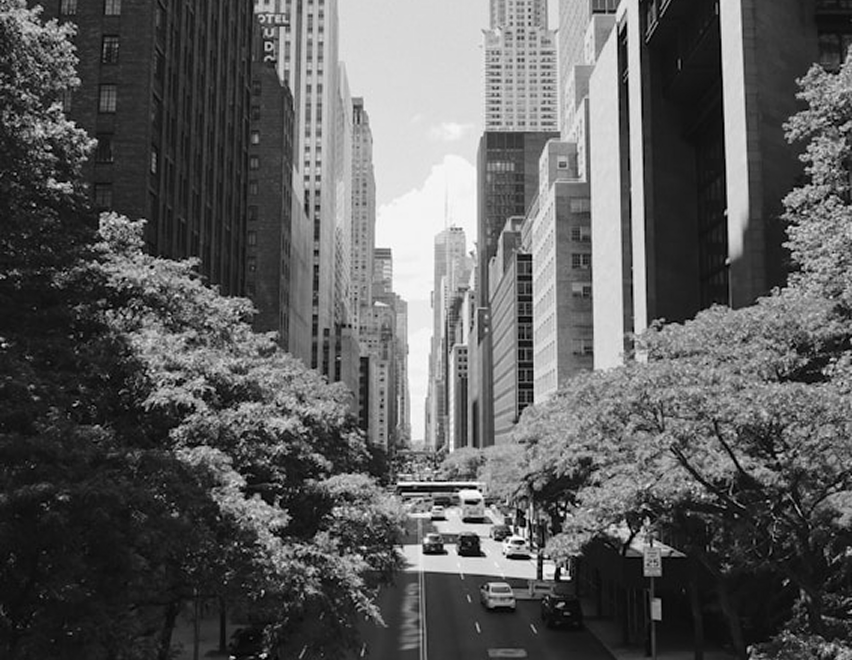 Black and white image of a city street lined with trees and tall buildings under a partly cloudy sky.