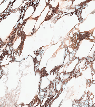 White marble surface with irregular brown and beige veining pattern.
