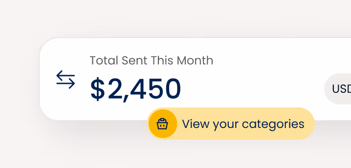 Dashboard illustration showing total amount sent this month as $2,450 with a button labeled "View your categories".