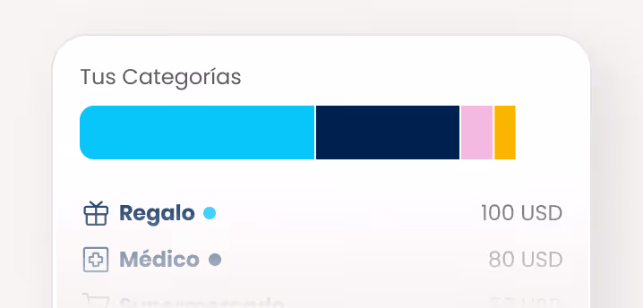 Category bar chart with gift and medical icons, showing 100 USD for gift and 80 USD for medical.