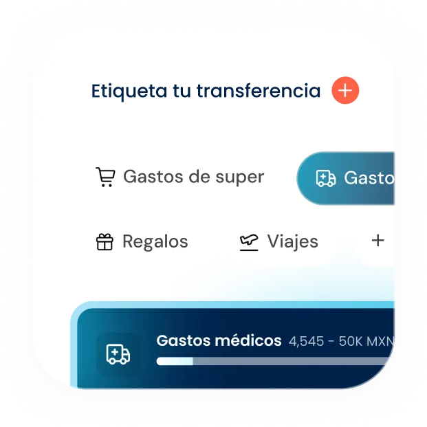 Transfer tags such as Medical, Groceries, Gift and Travel