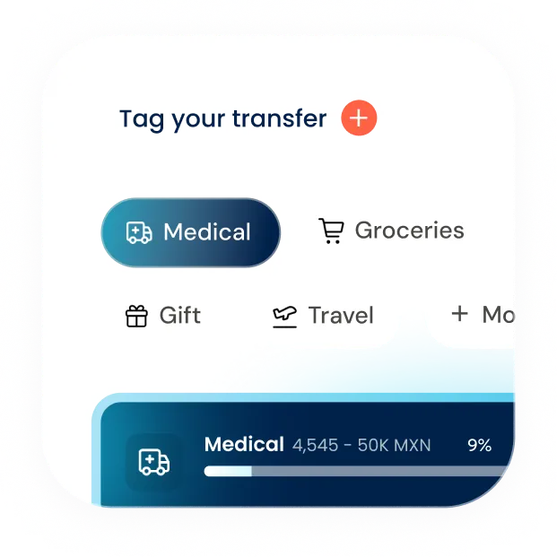 Transfer tags such as Medical, Groceries, Gift and Travel