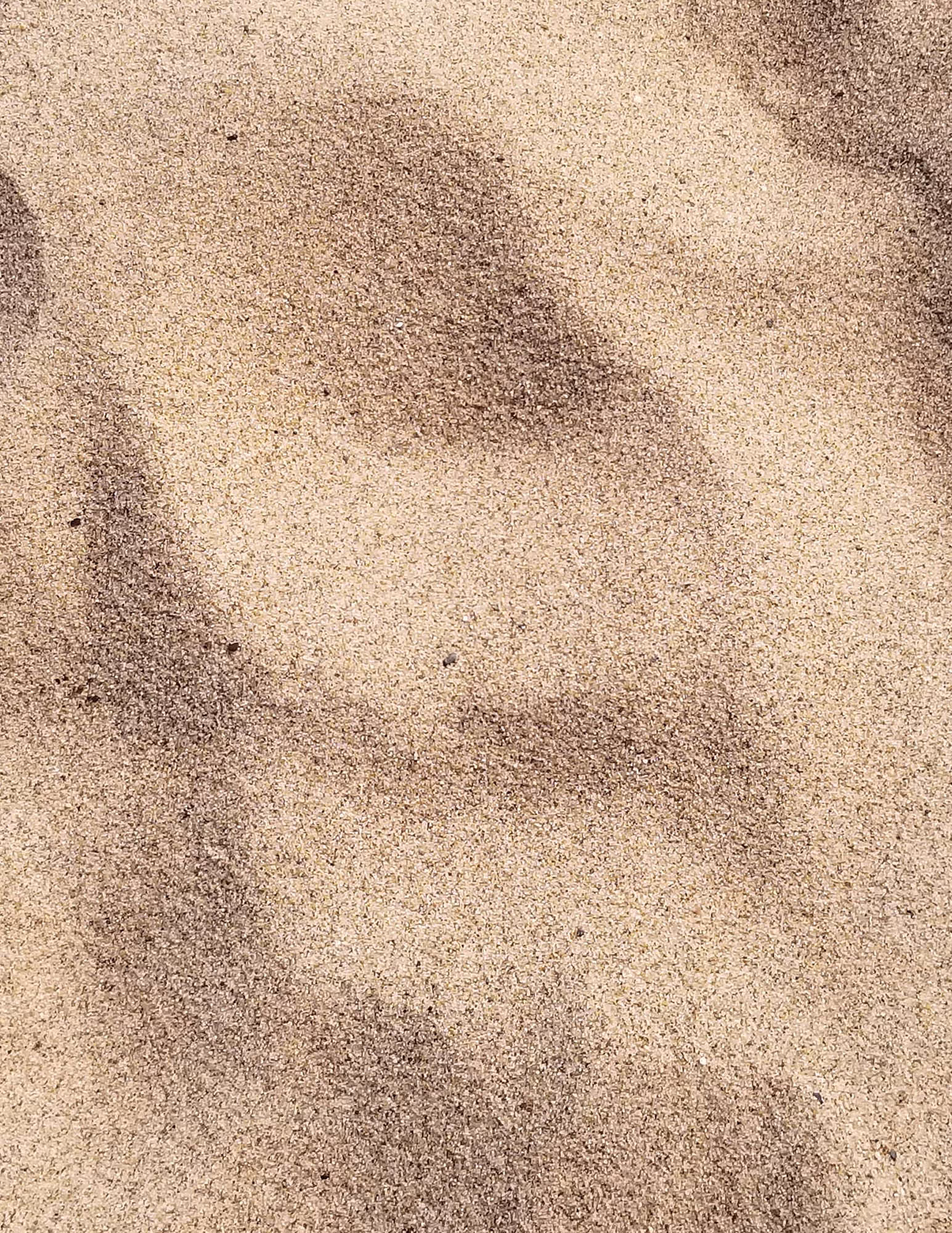 Close-up of light and dark patterns in fine sand grains.
