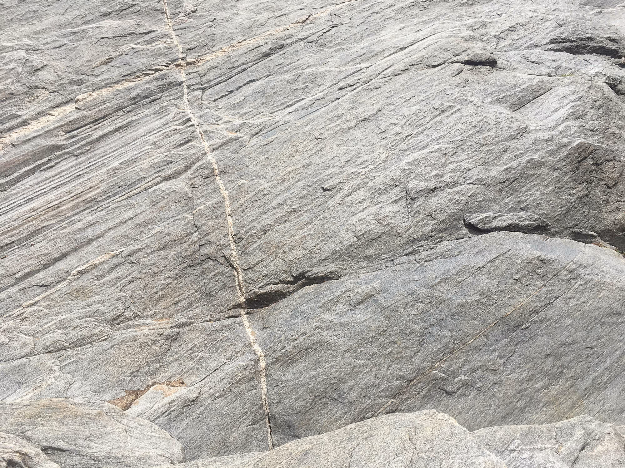 Close-up of gray layered rock surface with a visible thin white vein running vertically.