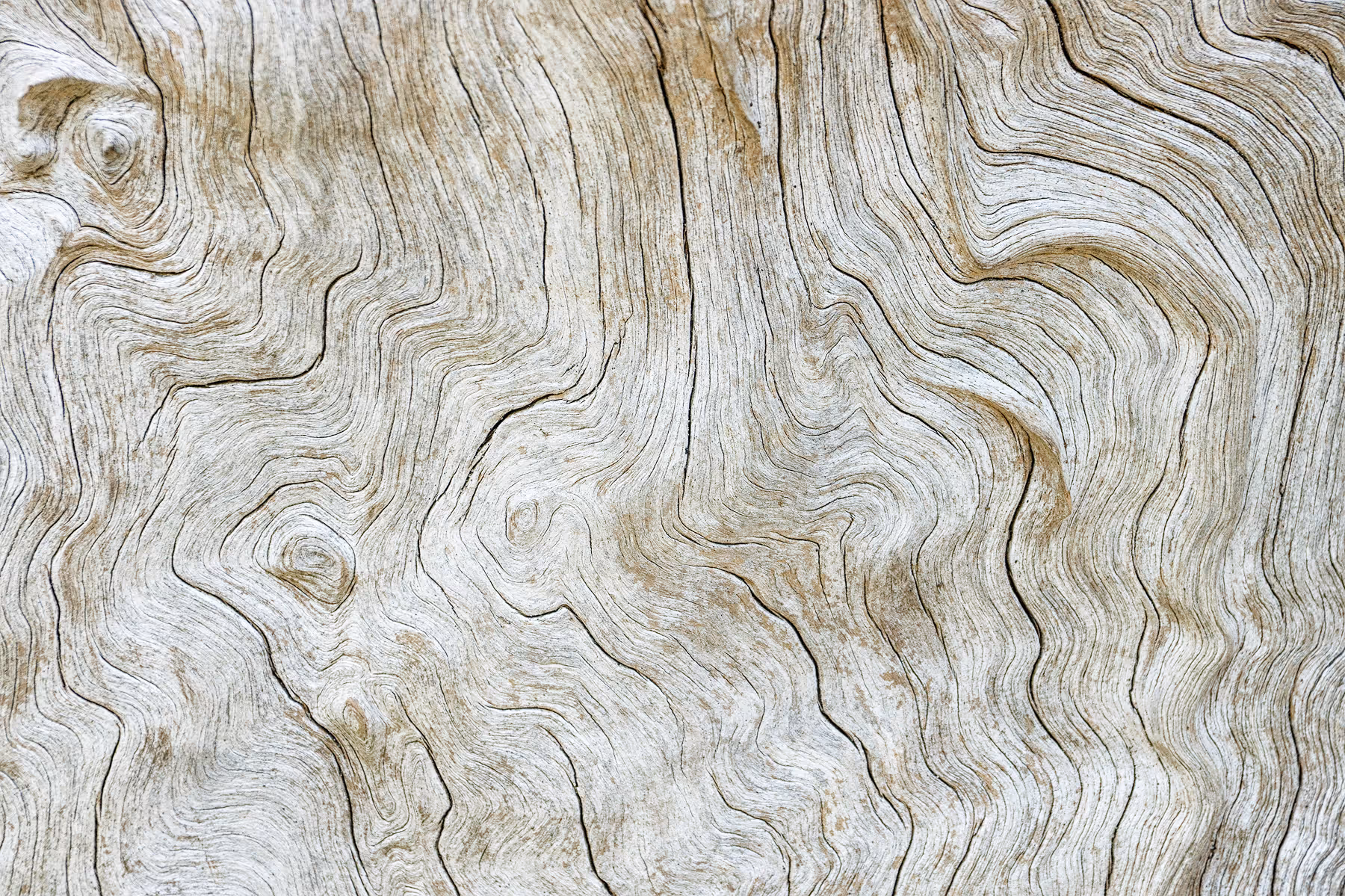Close-up of a wooden surface showing intricate, wavy grain patterns and natural knots.