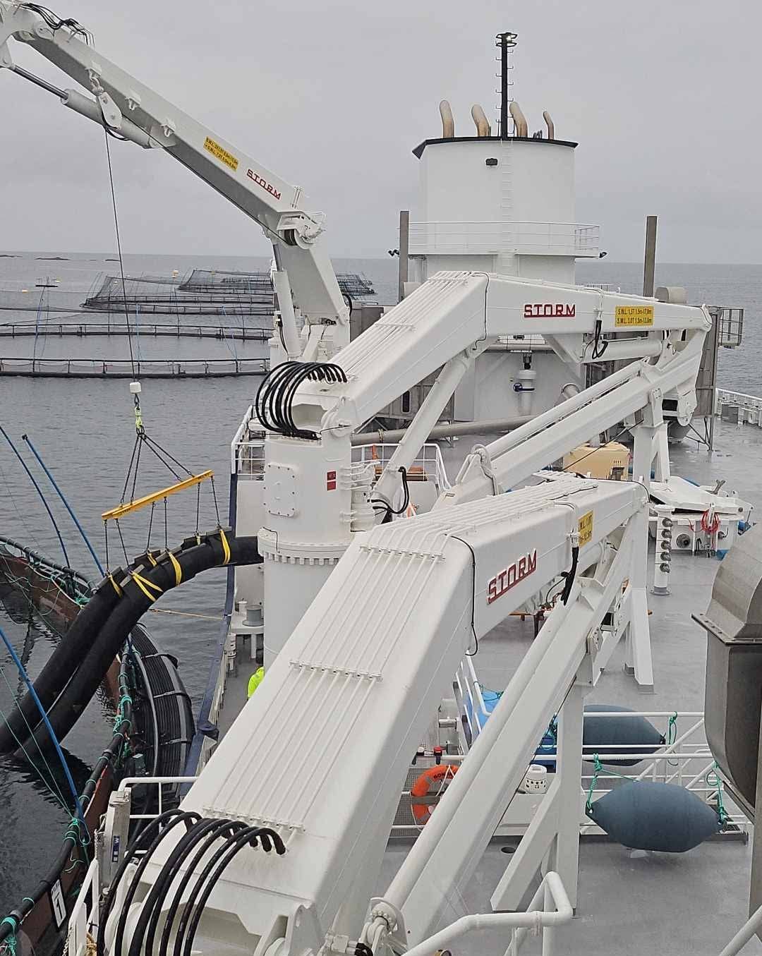 image of a document with faqs (for a productivity tools business)