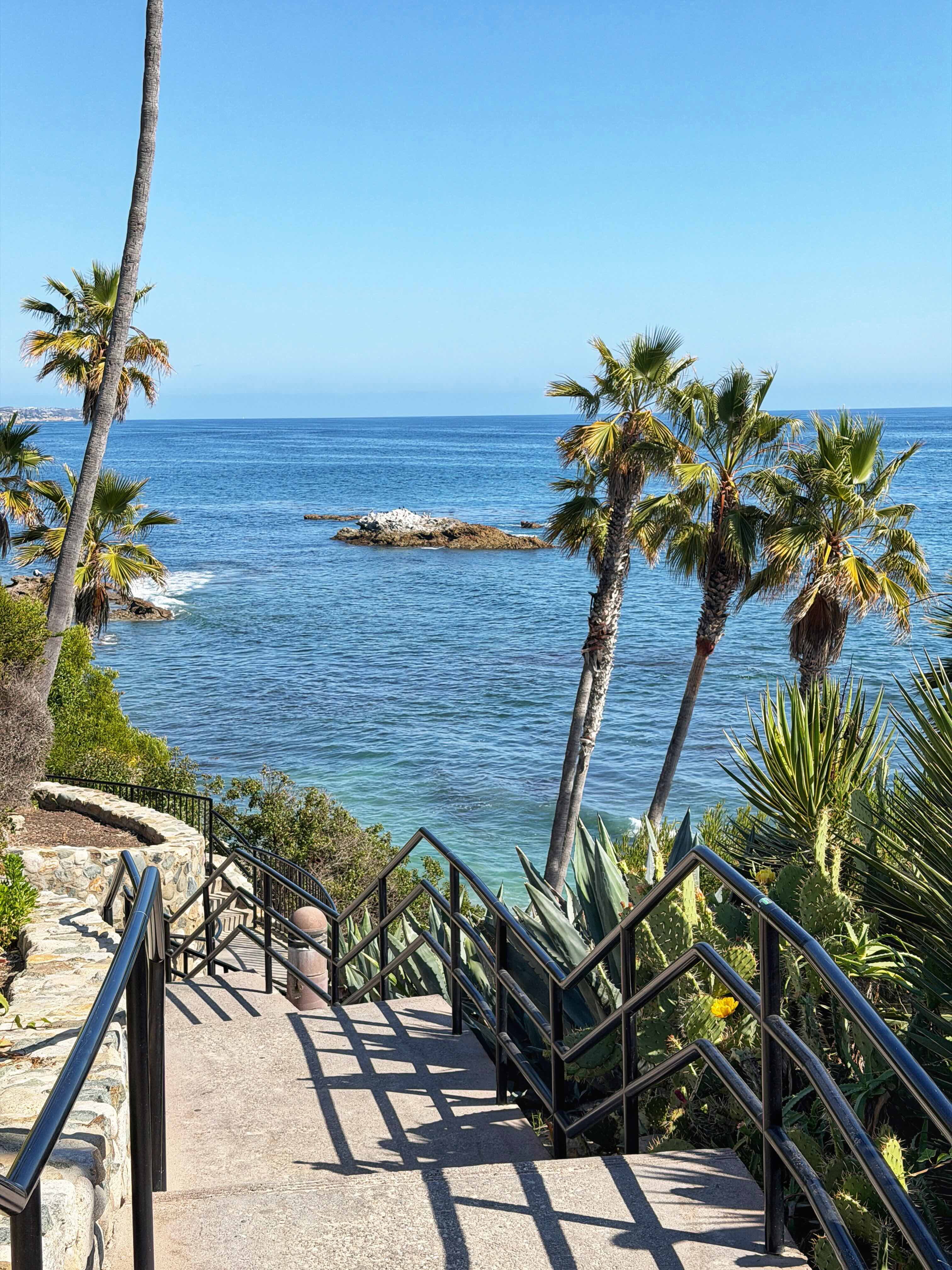 Curving stairway from Heisler Park down to a cove beach in Laguna Beach — palm trees, blue Pacific Ocean, and a small rocky cove visible from the cliffside descent