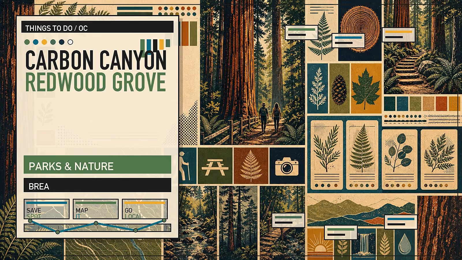 Editorial illustration of the Carbon Canyon coast redwood grove in Brea with unexpected redwoods in an inland Orange County canyon.