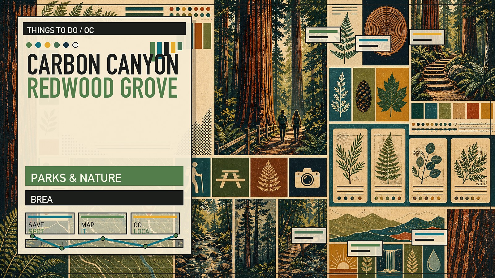 Editorial illustration of the Carbon Canyon coast redwood grove in Brea with unexpected redwoods in an inland Orange County canyon.