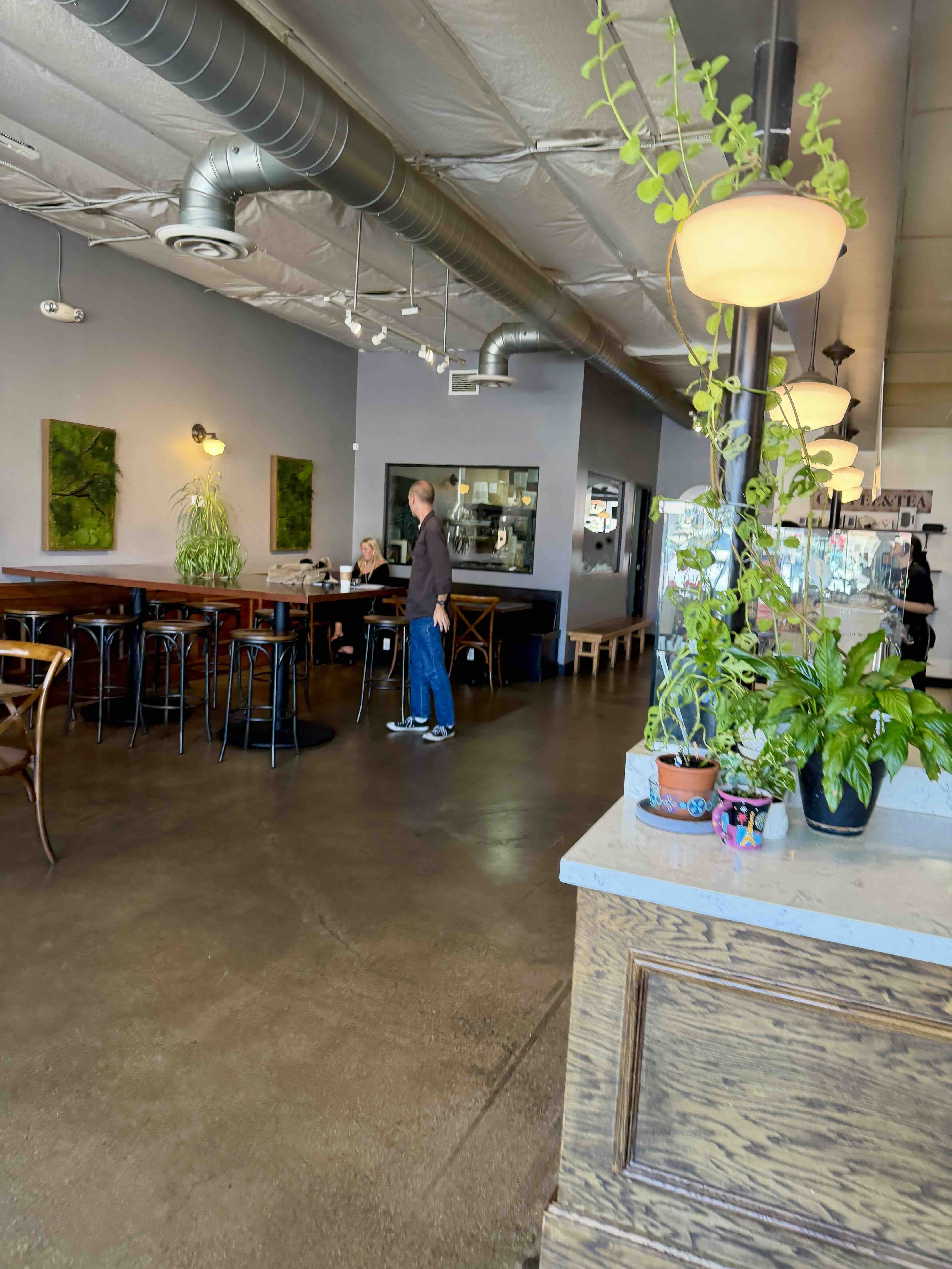 Interior of Brot Coffee Co in Orange with a long communal bar, metal stools, trailing plants and schoolhouse pendant lighting.