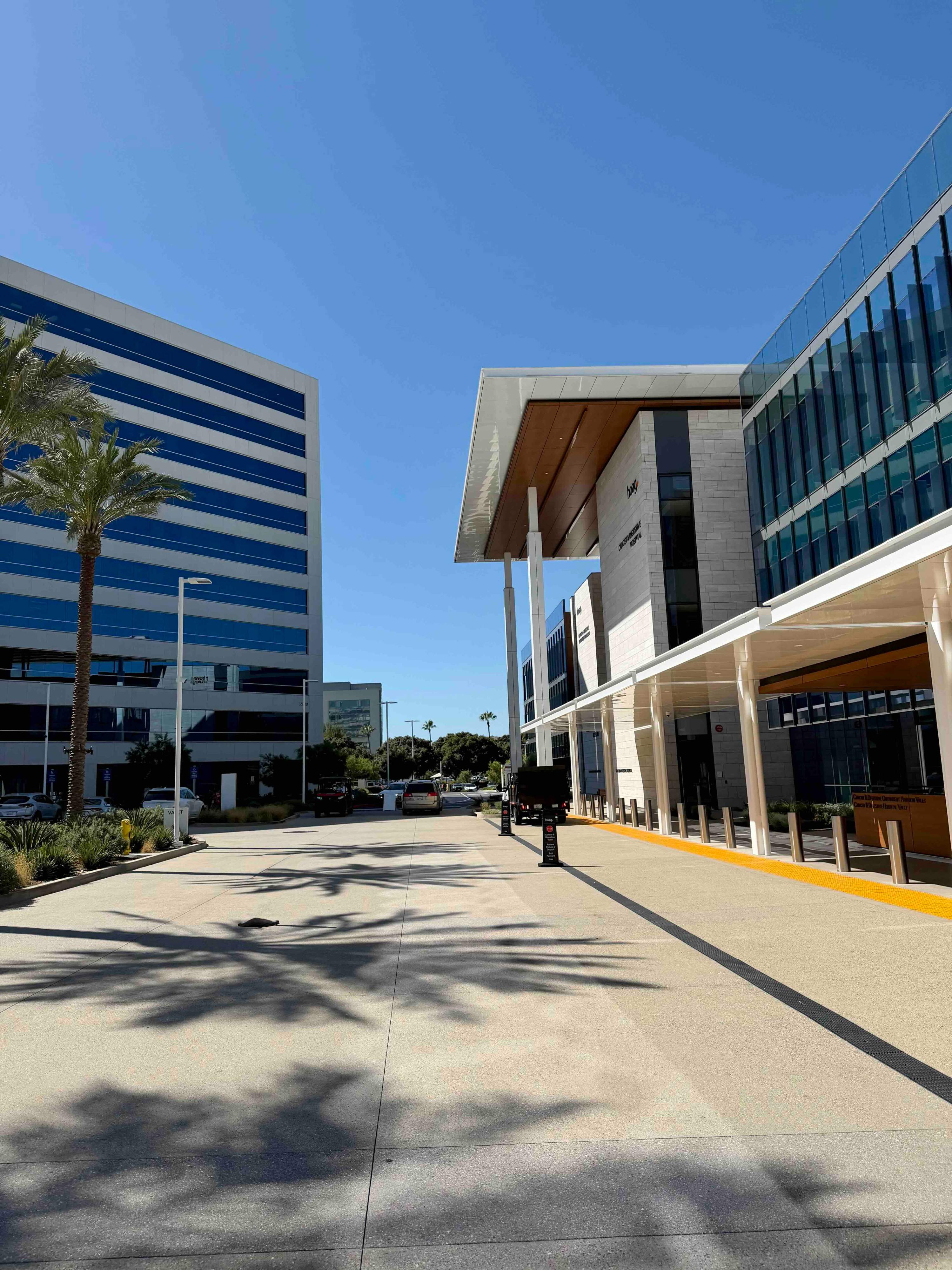 A new glass-and-stone pavilion with a wood-lined entry canopy at Hoag Hospital Irvine, palm trees and a blue-glass tower across the drive under a clear sky.