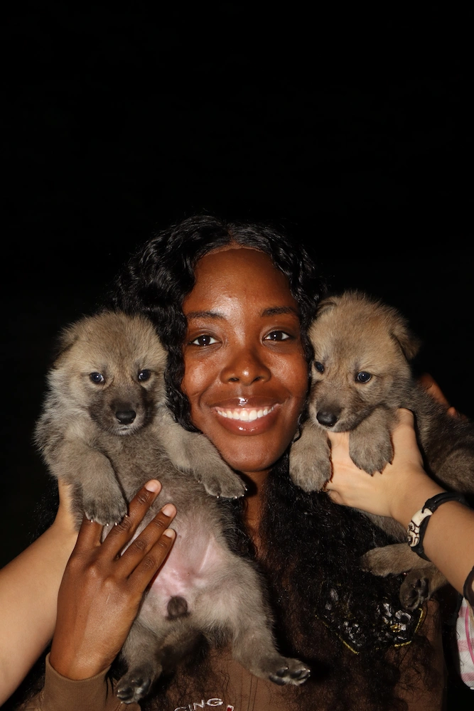 Night Safari Tour