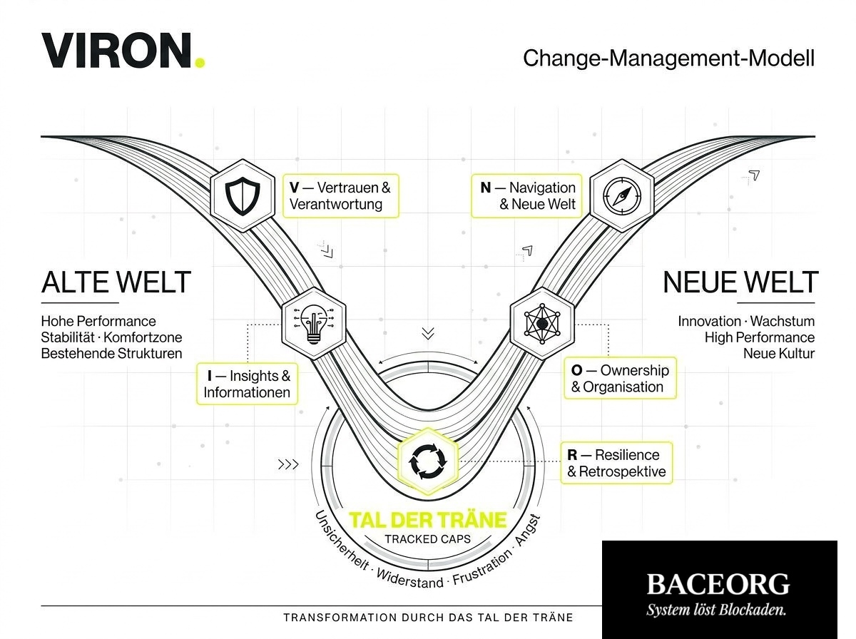VIRON Model Detailed View