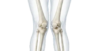 Medical illustration showing front view of human knees with bones visible.