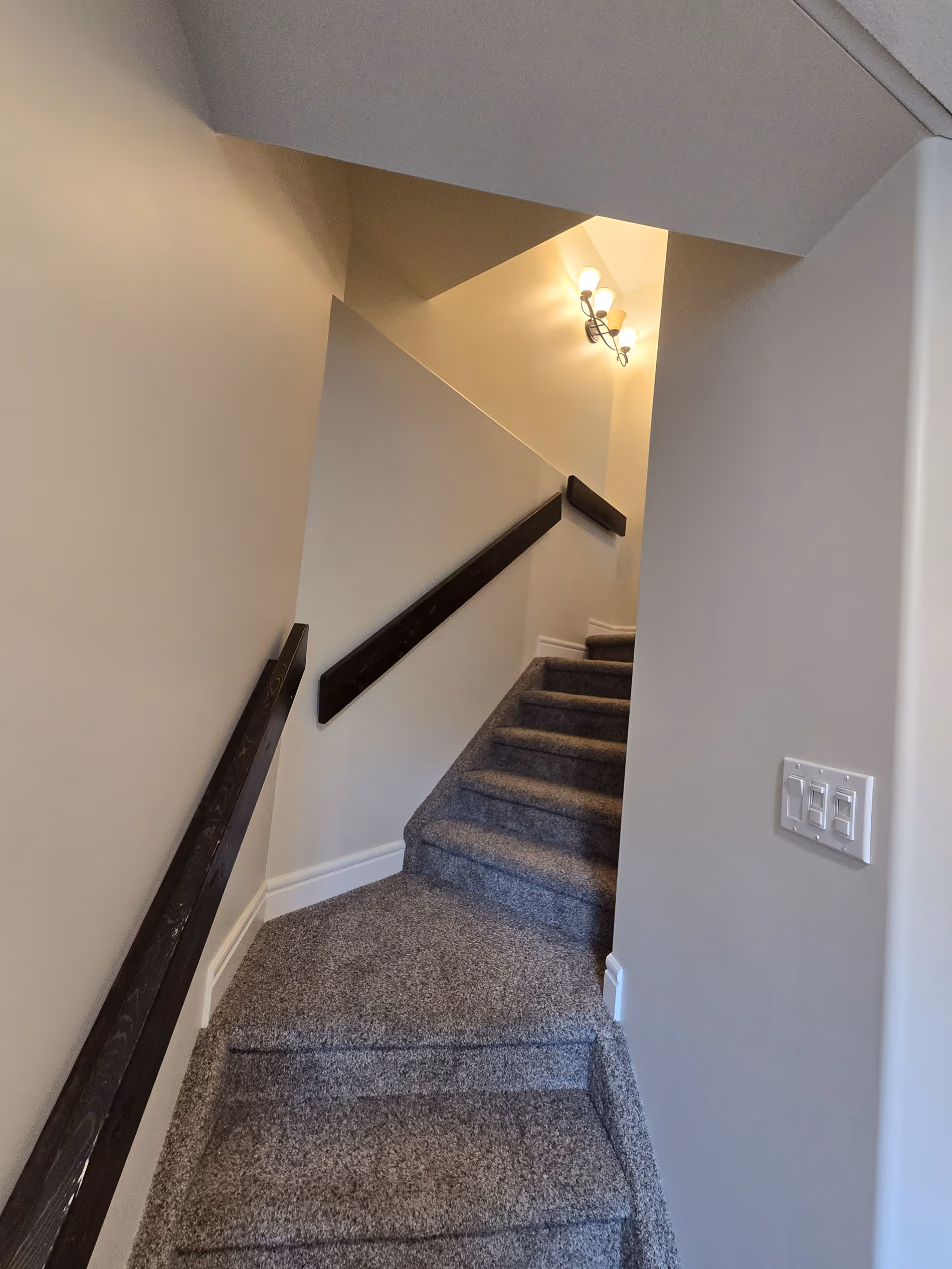 Delfis Painting Residential Services