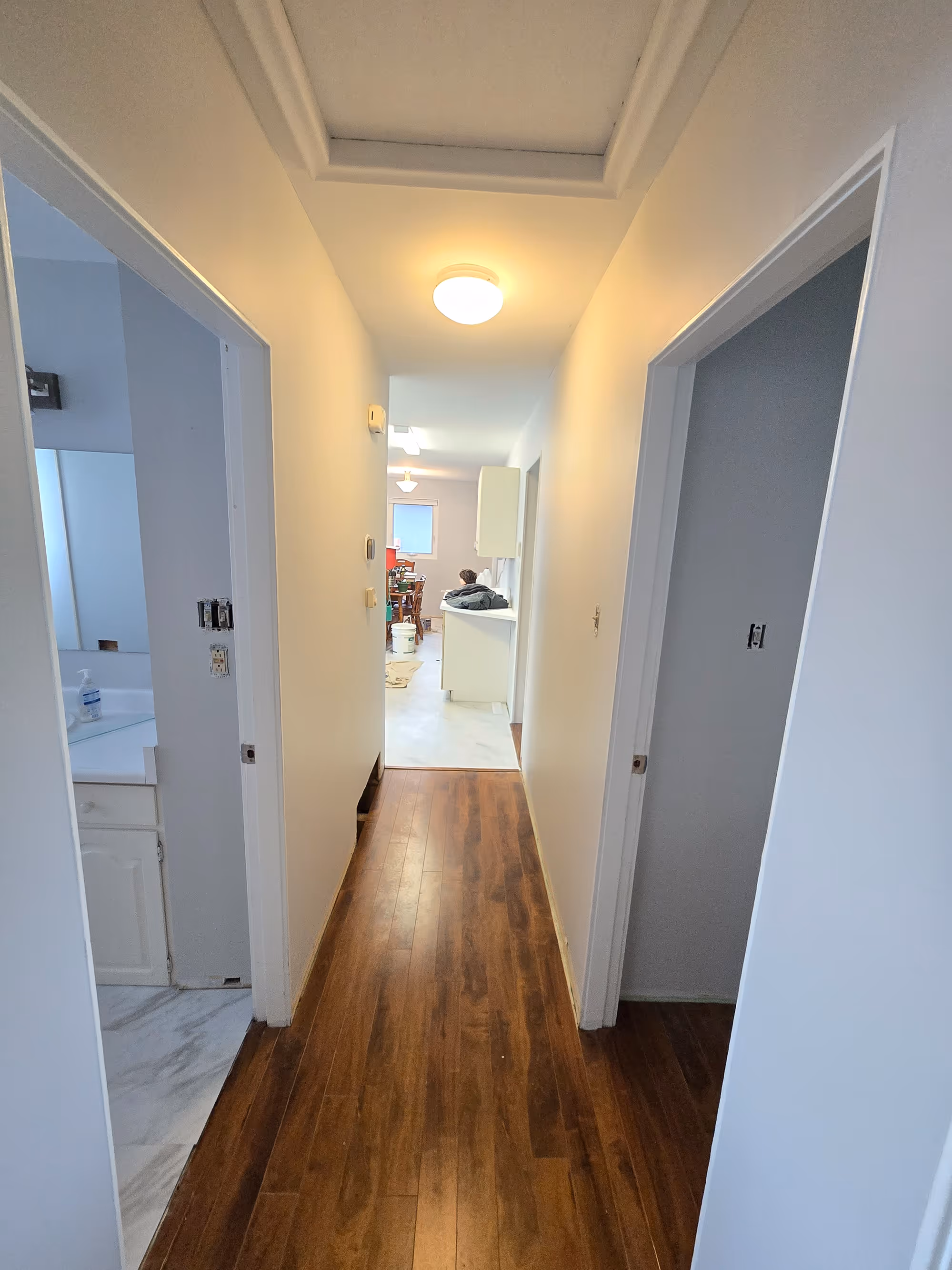 Delfis Painting Residential Services