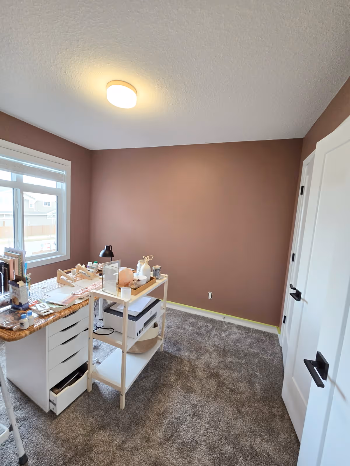 Delfis Painting Residential Services