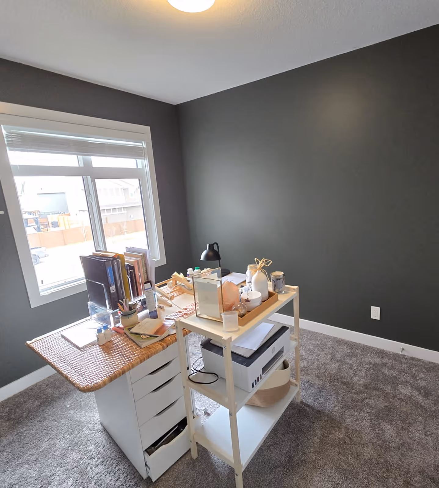 Delfis Painting Residential Services