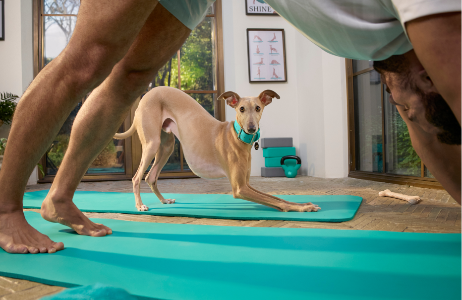 There’s No Place Like Home