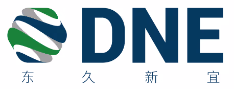 DNE company logo with blue letters and a green, blue, and gray globe-like icon