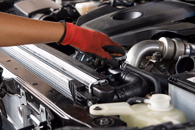 Vehicle cooling system radiator and hoses being inspected during a cooling system service in Masterton
