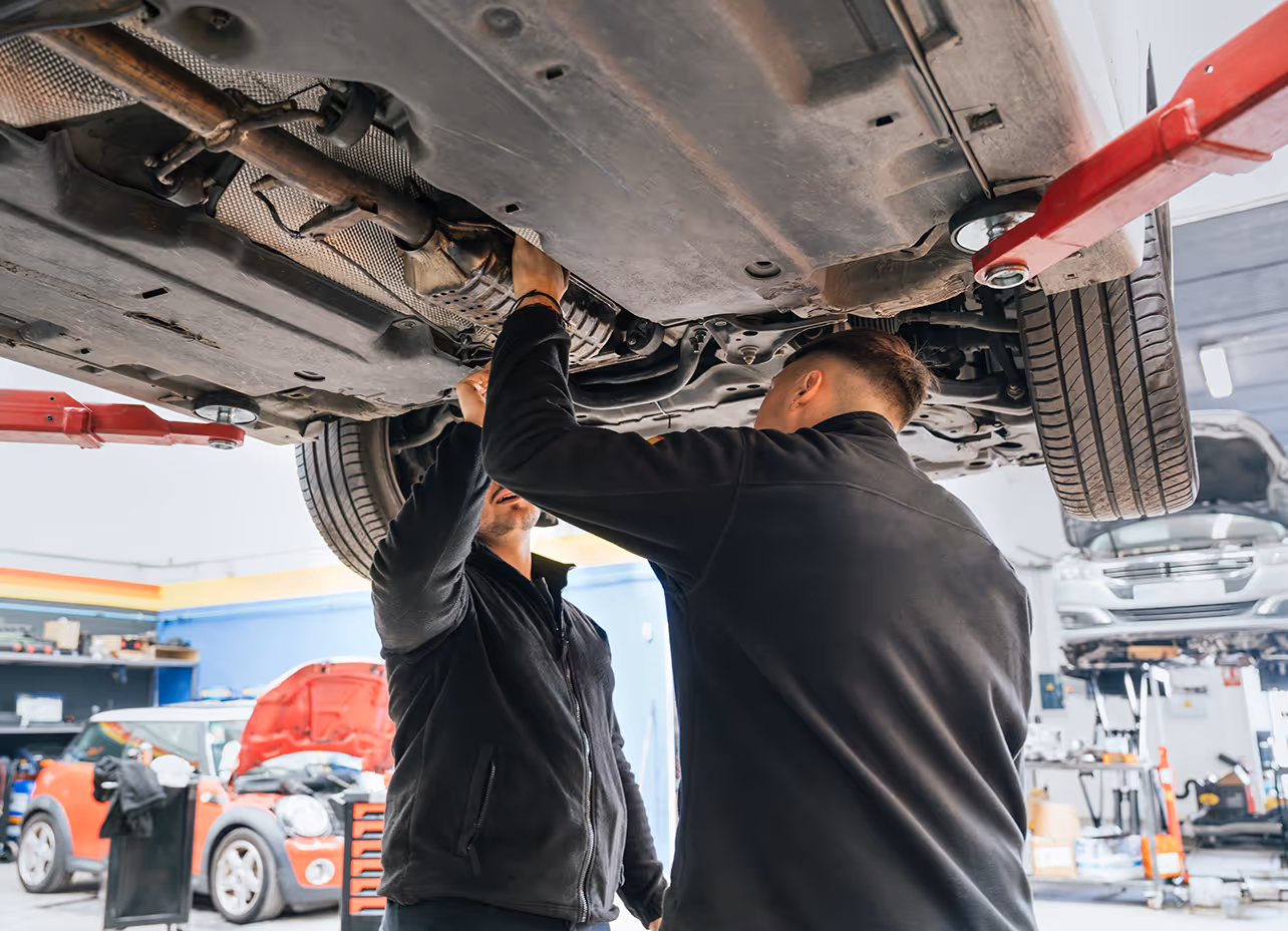 Mechanic inspecting the underside of a vehicle on a workshop hoist in Masterton