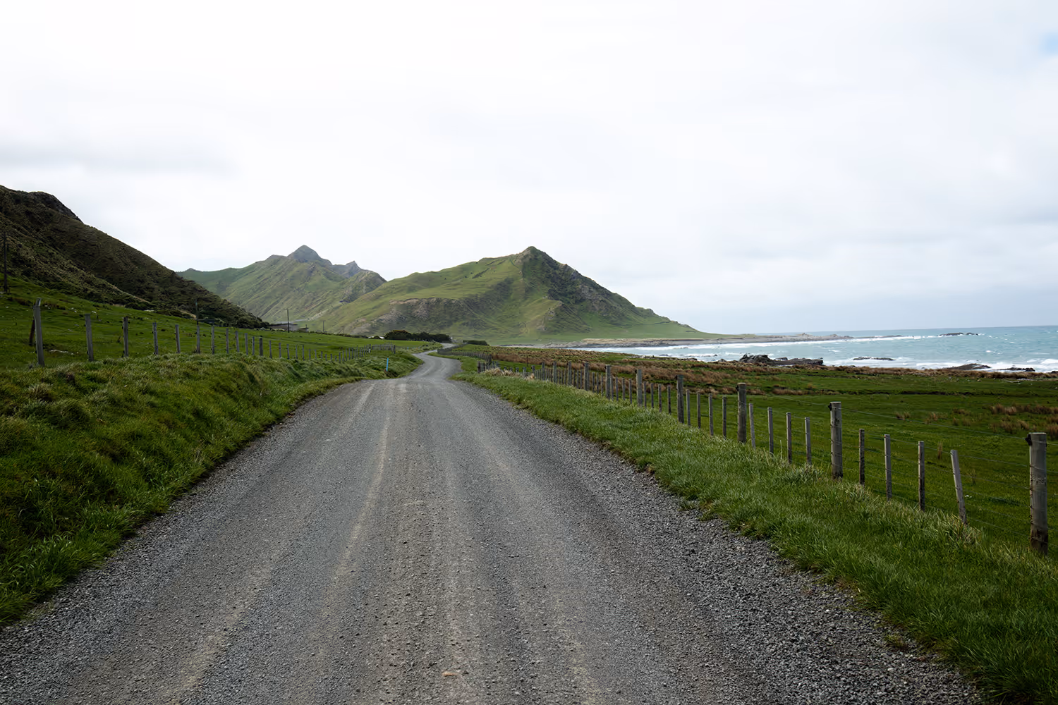 Rural New Zealand road through the Wairarapa countryside