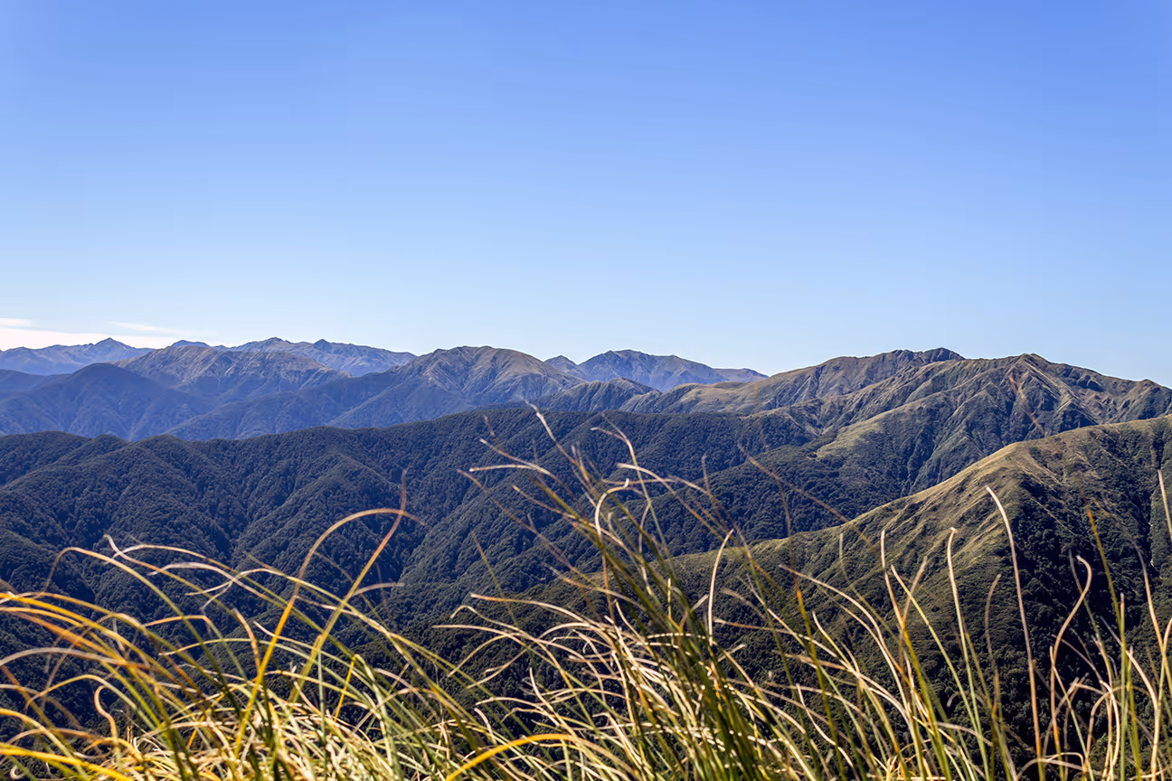 Scenic South Wairarapa countryside road with rolling green hills and farmland