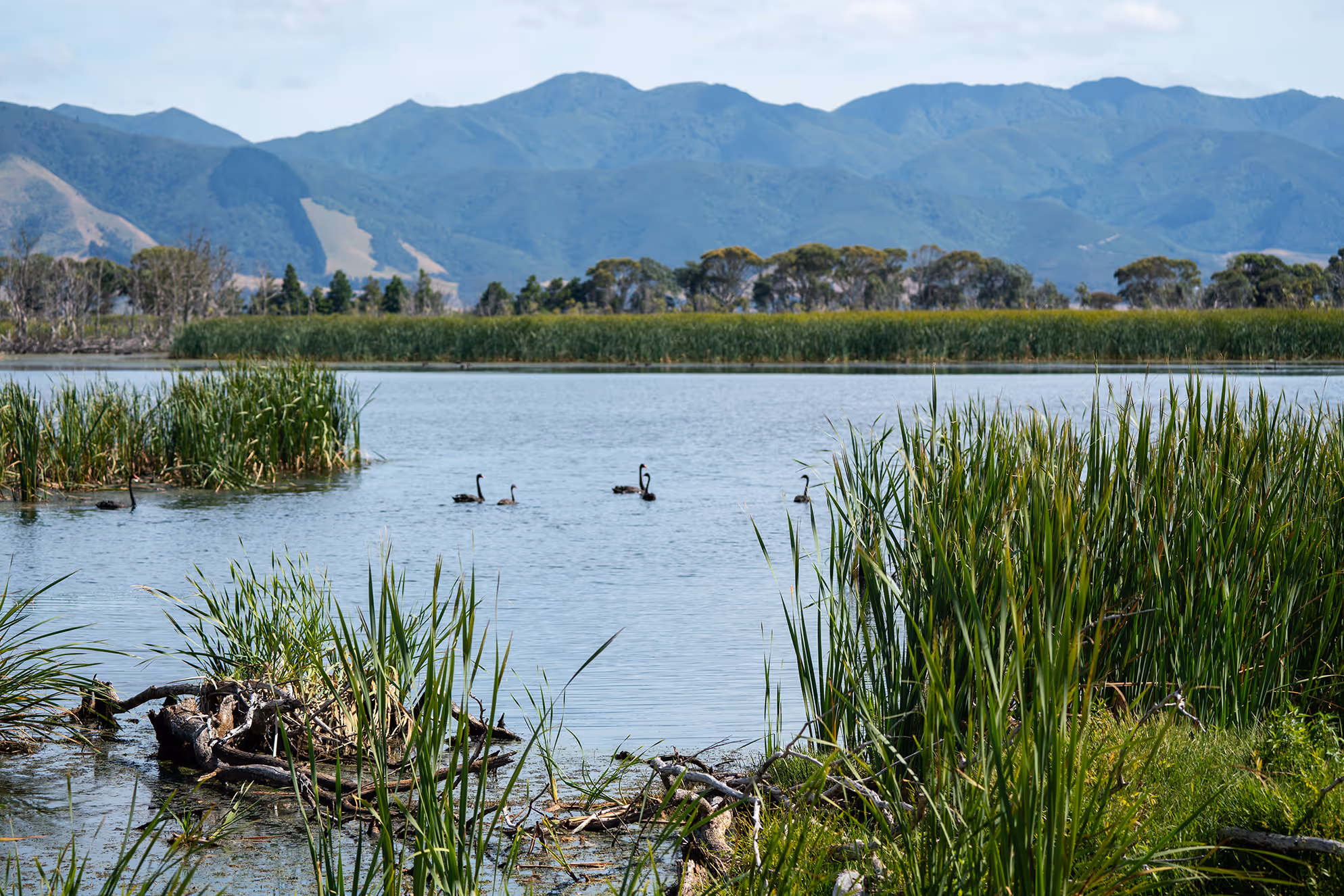 Featherston township at the foot of the Remutaka Range in the Wairarapa
