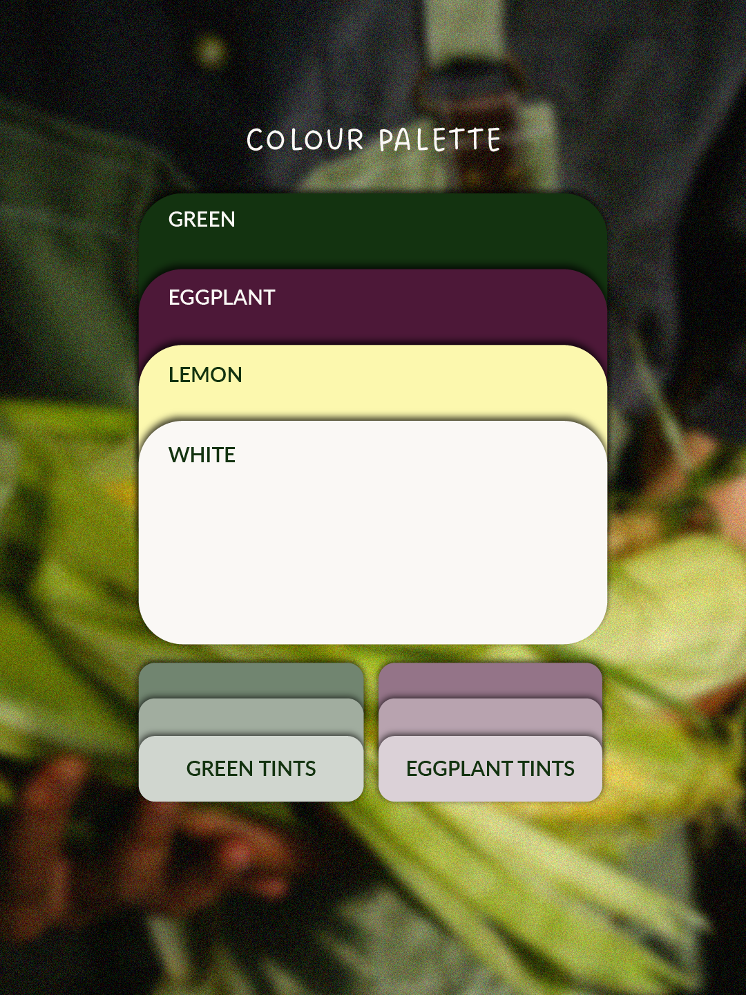 Brand colour palette for U.S. nonprofit organization