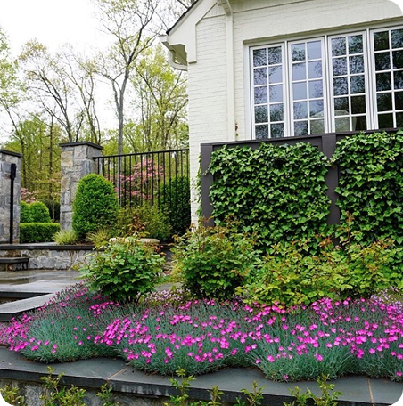 Landscape Design