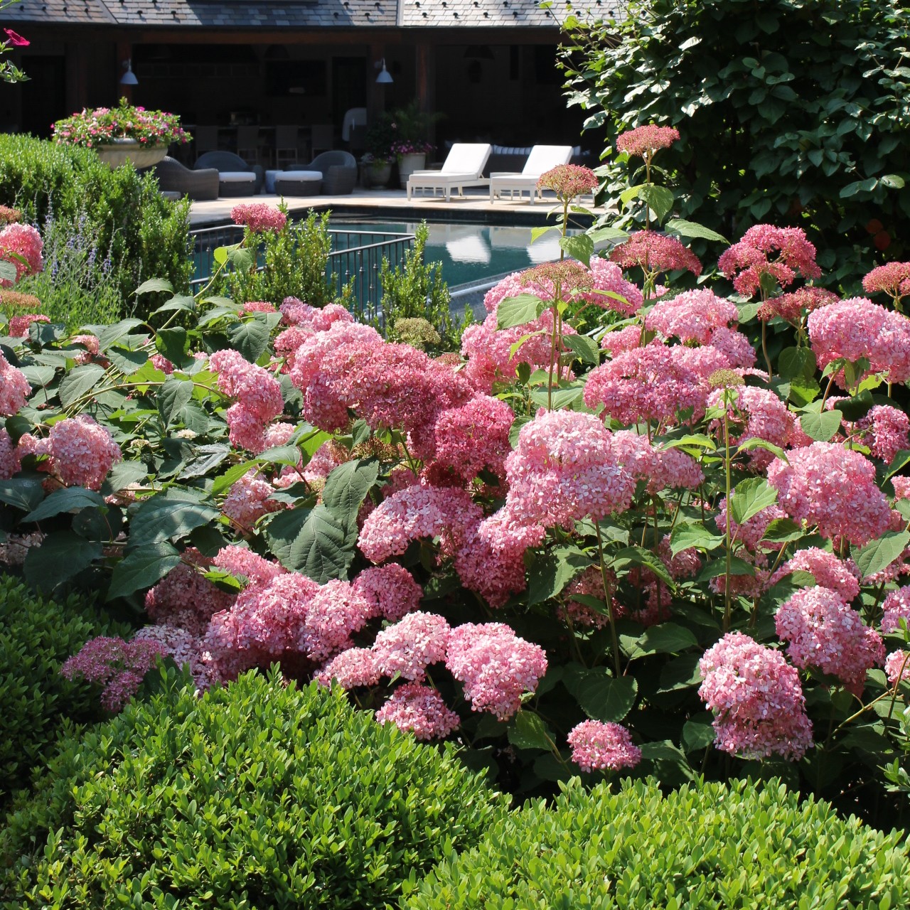 Landscape Maintenance