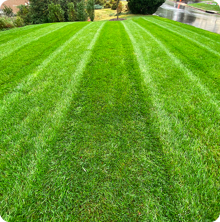 Landscape Maintenance