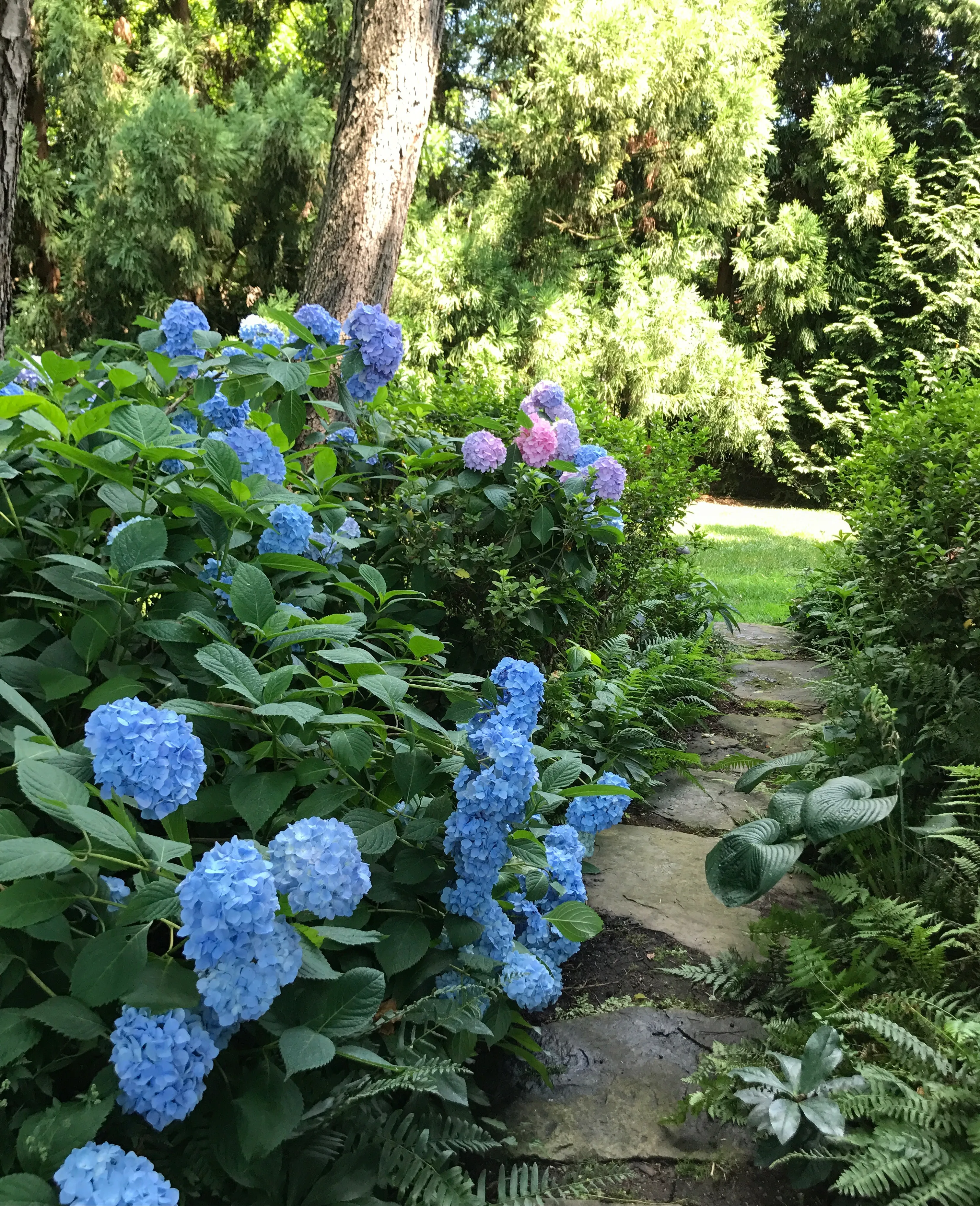 Woodland Gardens