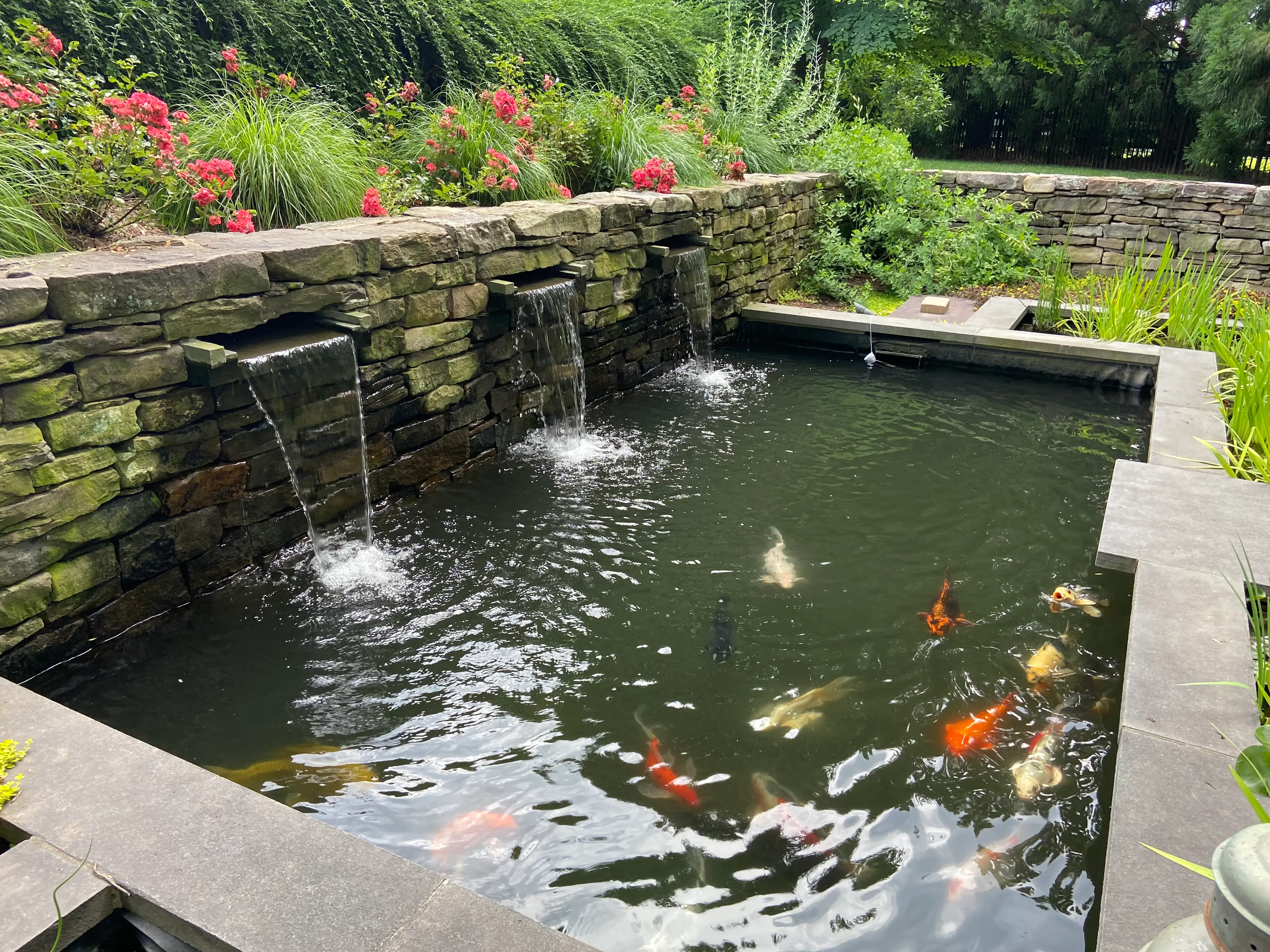 Koi Ponds