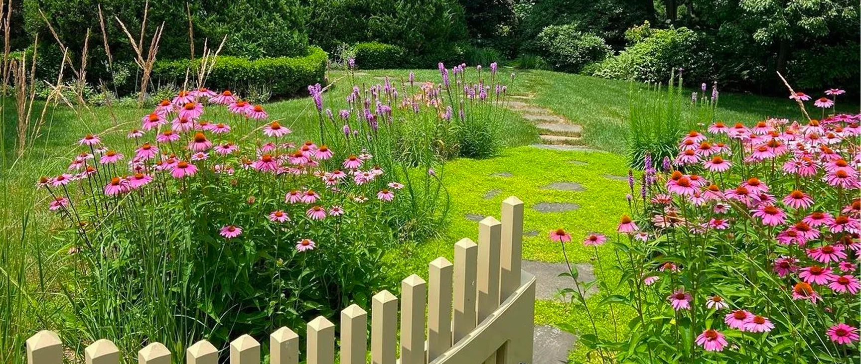 landscape-design-image