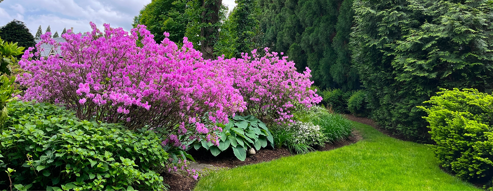 landscape-design-banner
