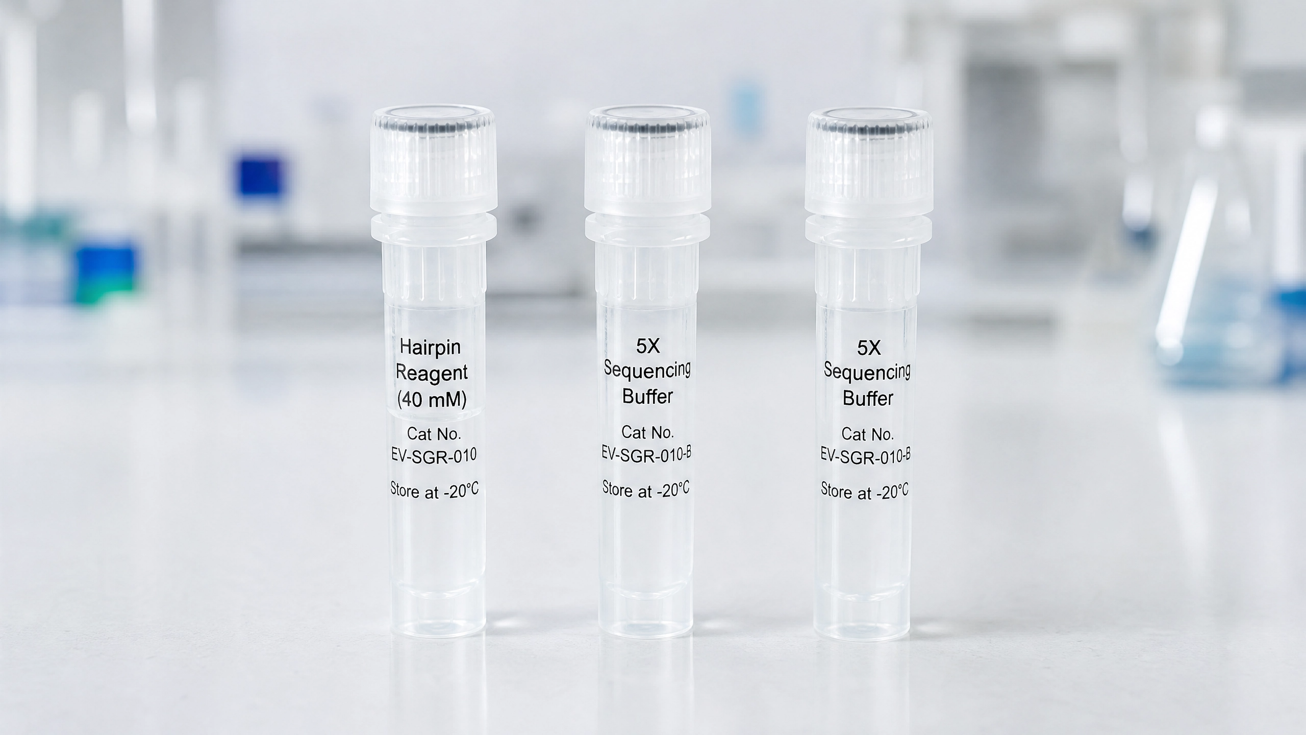 EV-SGR-010 HP Hairpin Reagent (7-deaza dATP)