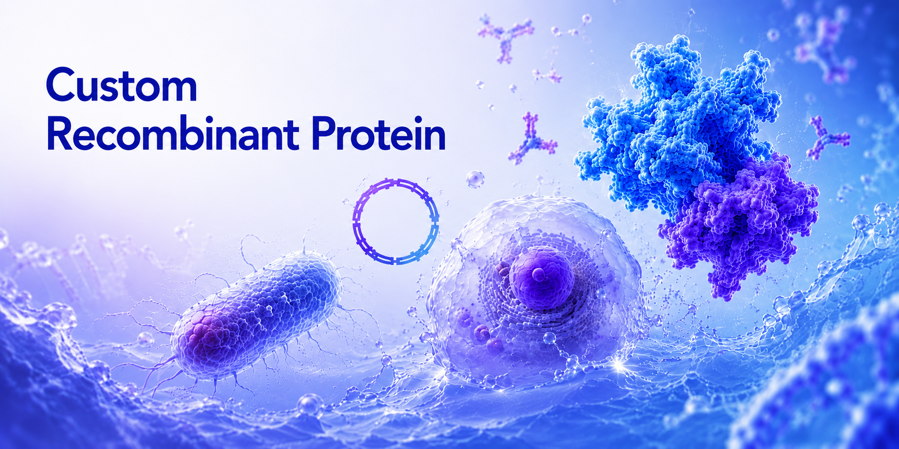 Custom Recombinant Protein