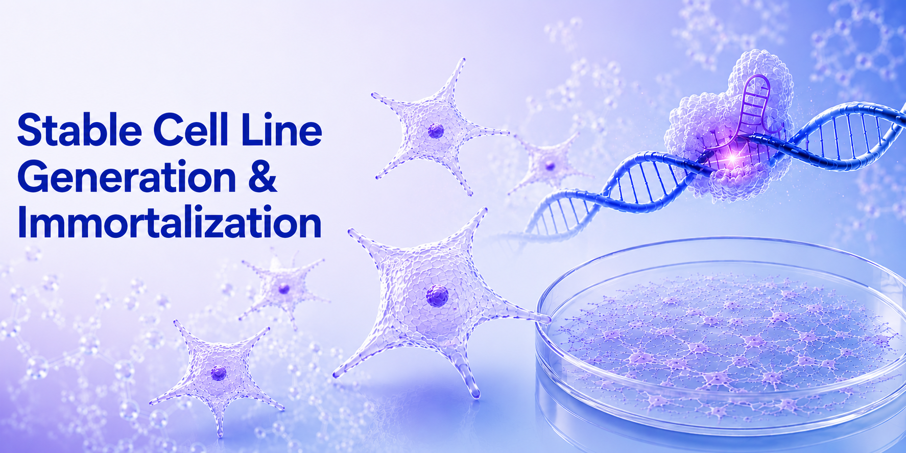 Stable Cell Line Generation & Immortalization