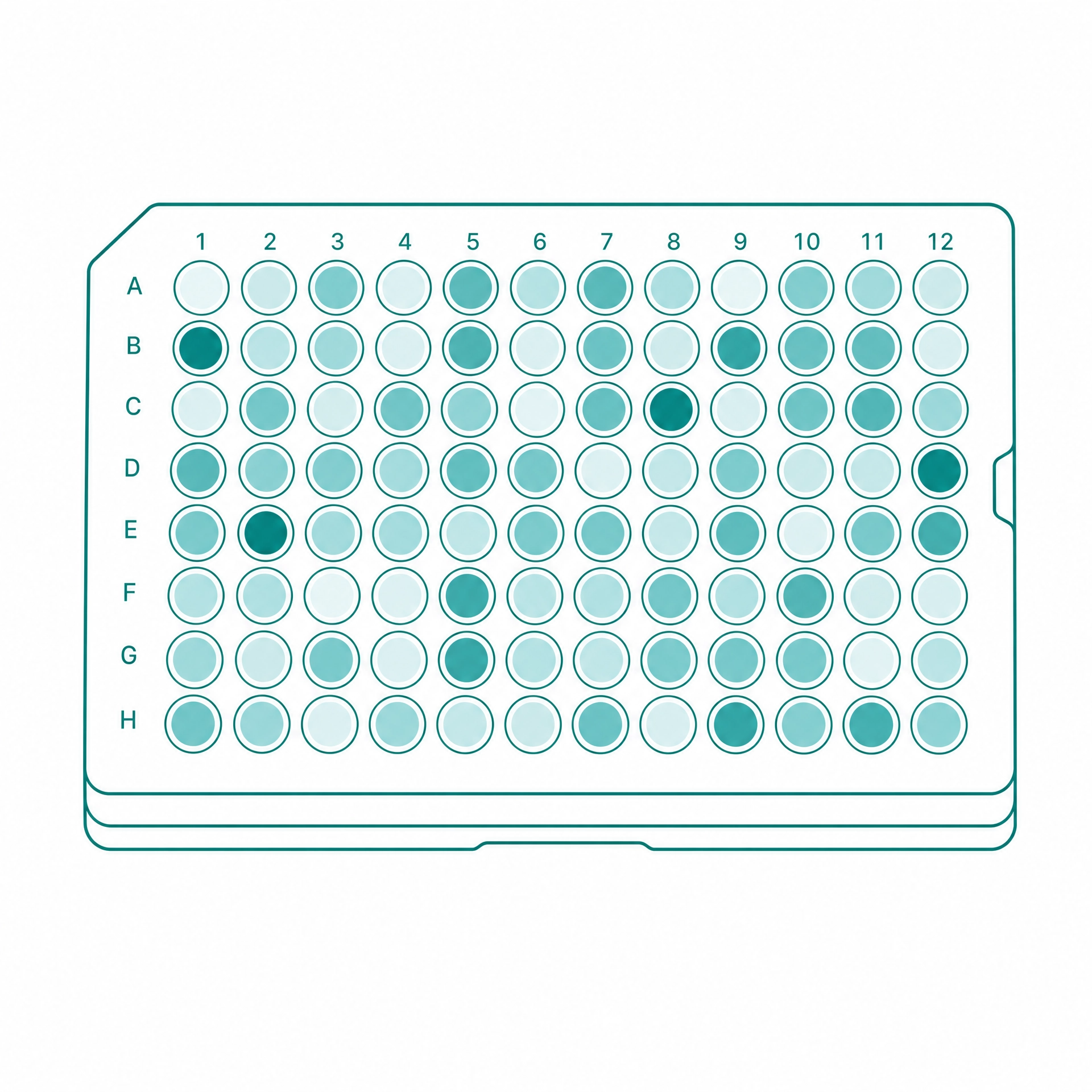 Mutagenesis library plate