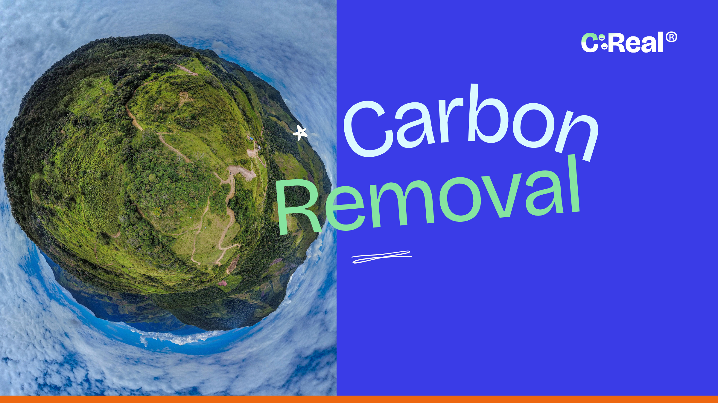 What is carbon removal - article thumbnail