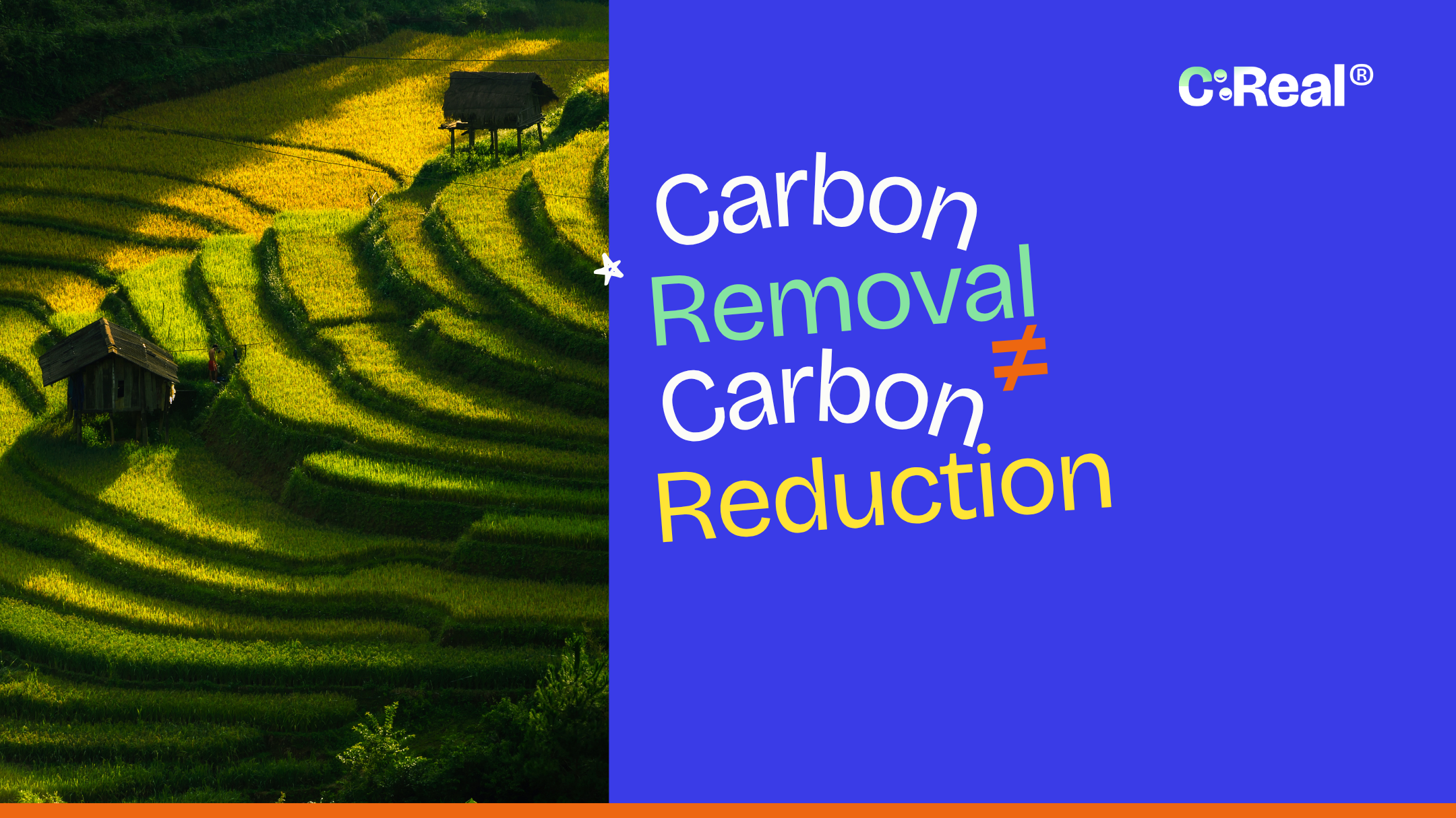 What is carbon removal - article thumbnail