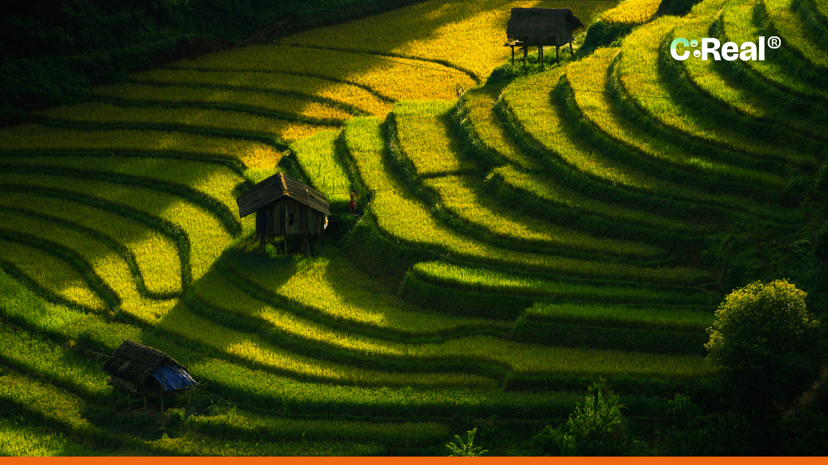 [background image] image of a farm landscape