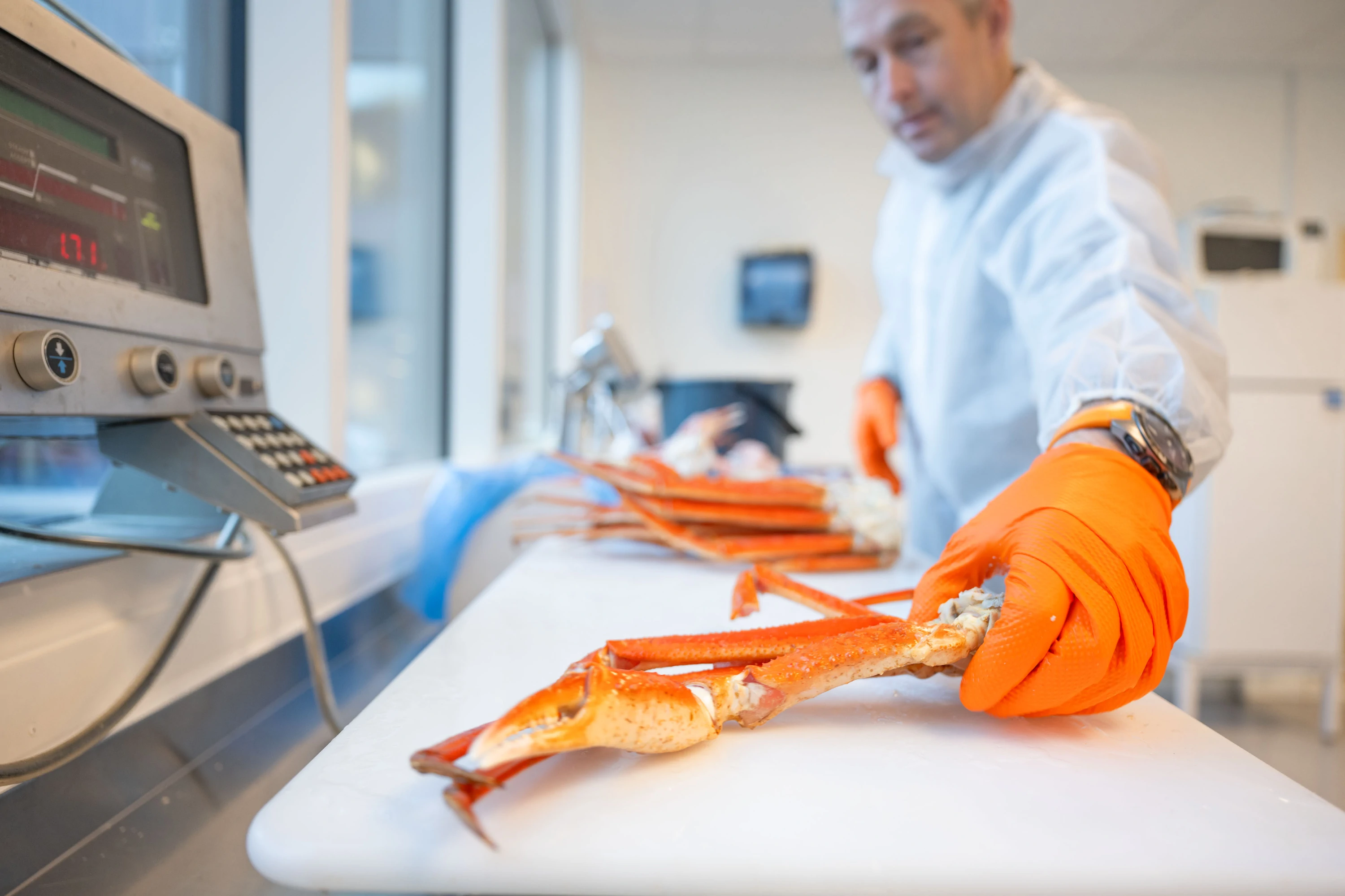 Inspector handling snow crab during a goods inspection