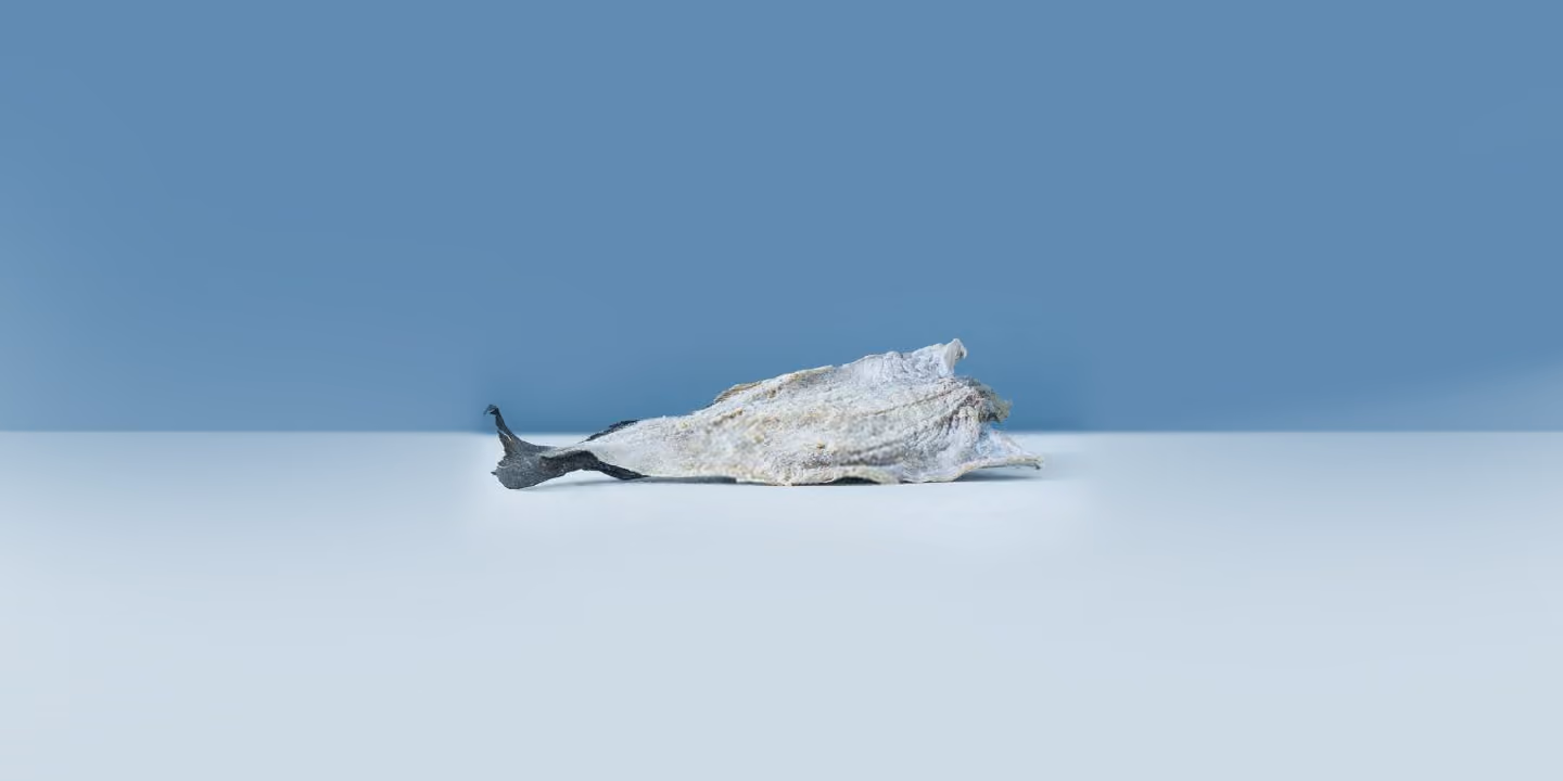 Tørket klippfisk på lys bakgrunn