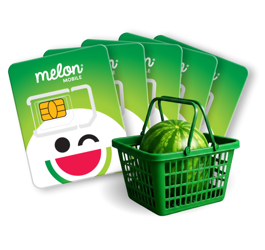 a green shopping basket with a watermelon in it next to several green cards