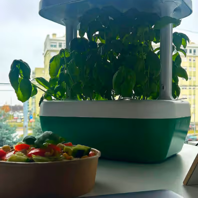 Indoor smart garden growing basil with a bowl of fresh salad in the foreground.