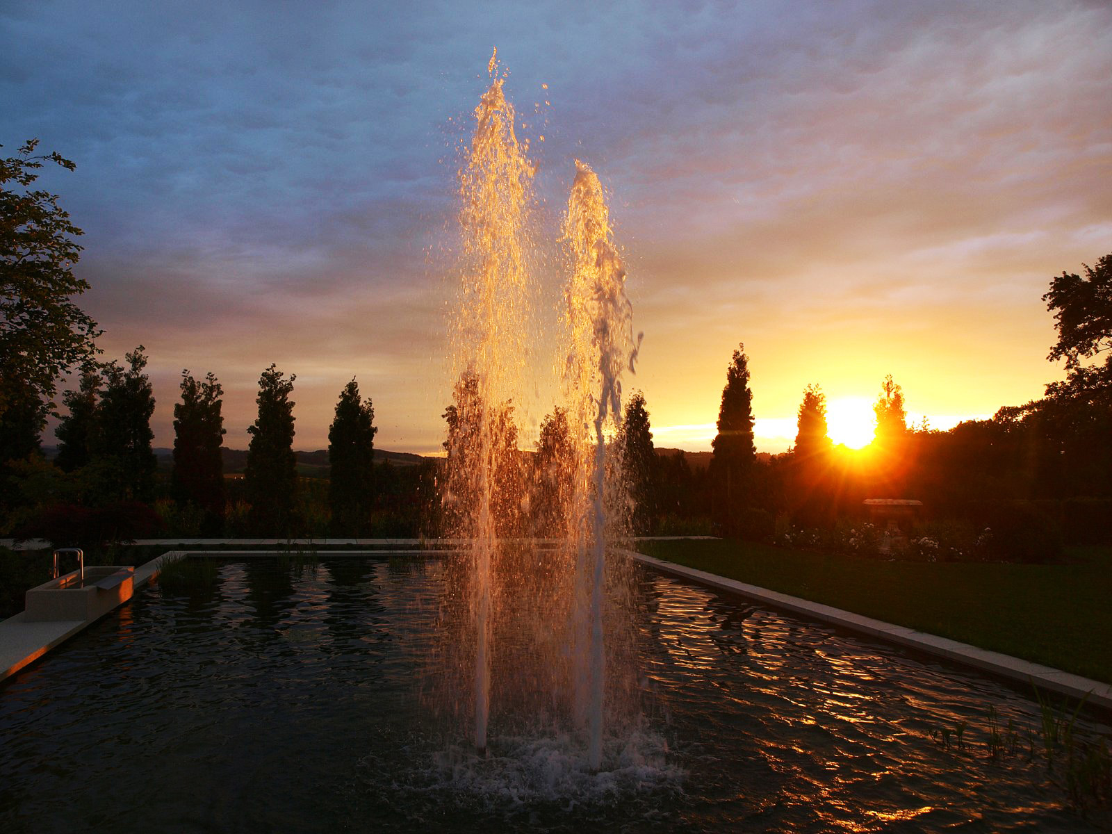 Zwei Wasserspiele in einem Teich leuchten im Sonnenuntergang, mit Bäumen und bewölktem Himmel im Hintergrund.