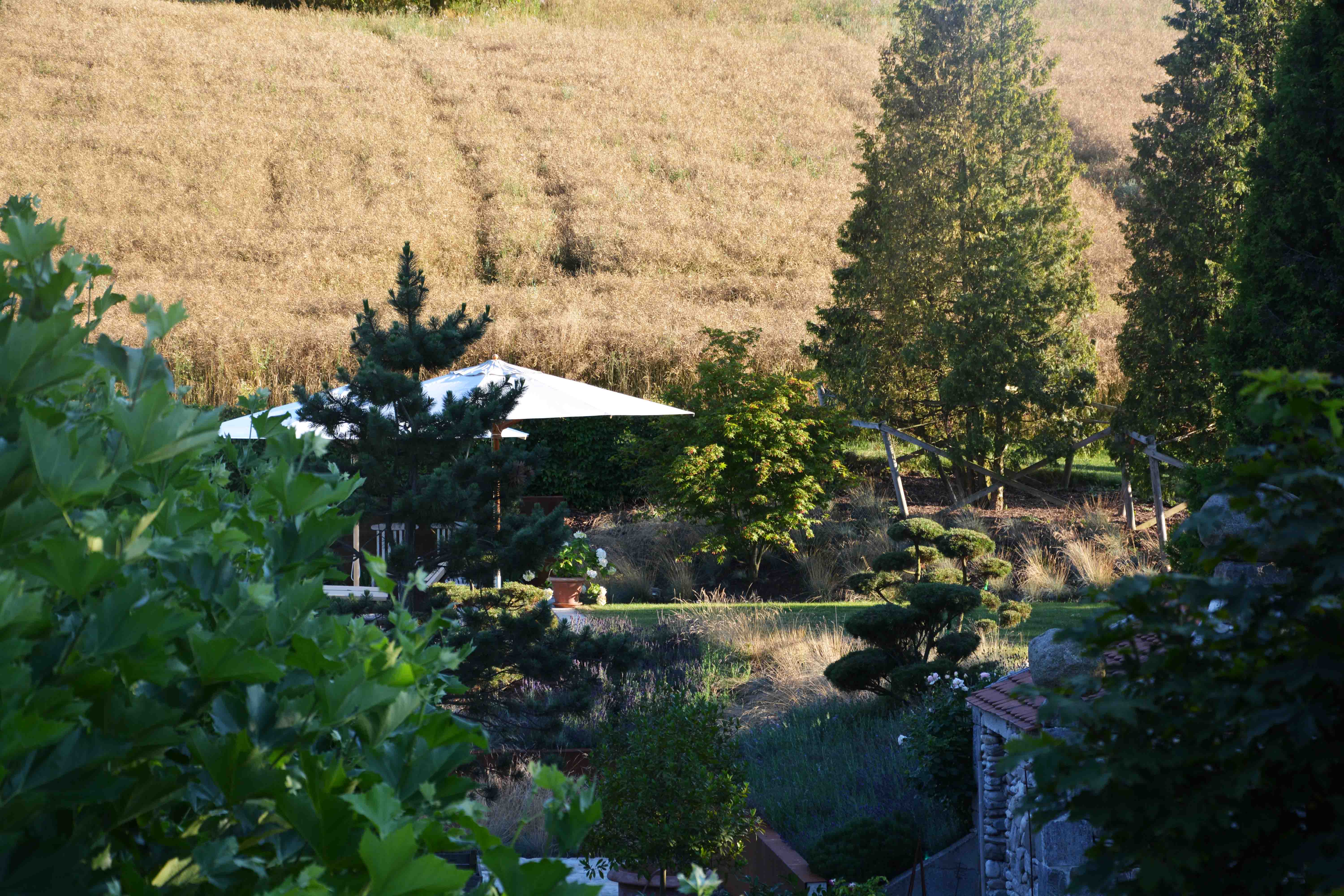Ein Garten mit verschiedenen Bäumen und Sträuchern, darunter eine weiße Sonnenschirm im Hintergrund vor einem goldenen Getreidefeld.